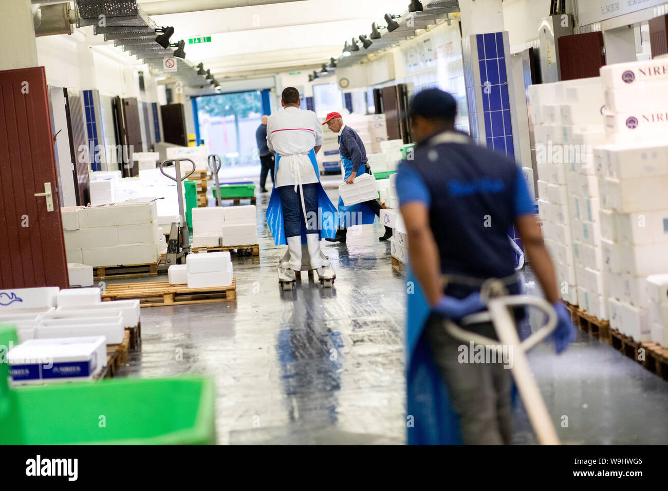 Hamburg, Germany. 14th Aug, 2019. Fishmongers and employees are out and about early in the morning at the Hamburg Altona fish market. On the annual-Pk of the Fish Information Centre FIZ on 14.08.2019 the association wants to give data and facts about the fishing industry as well as information about per capita consumption and purchasing behaviour of consumers in Germany. Credit: Christian Charisius/dpa/Alamy Live News Stock Photo