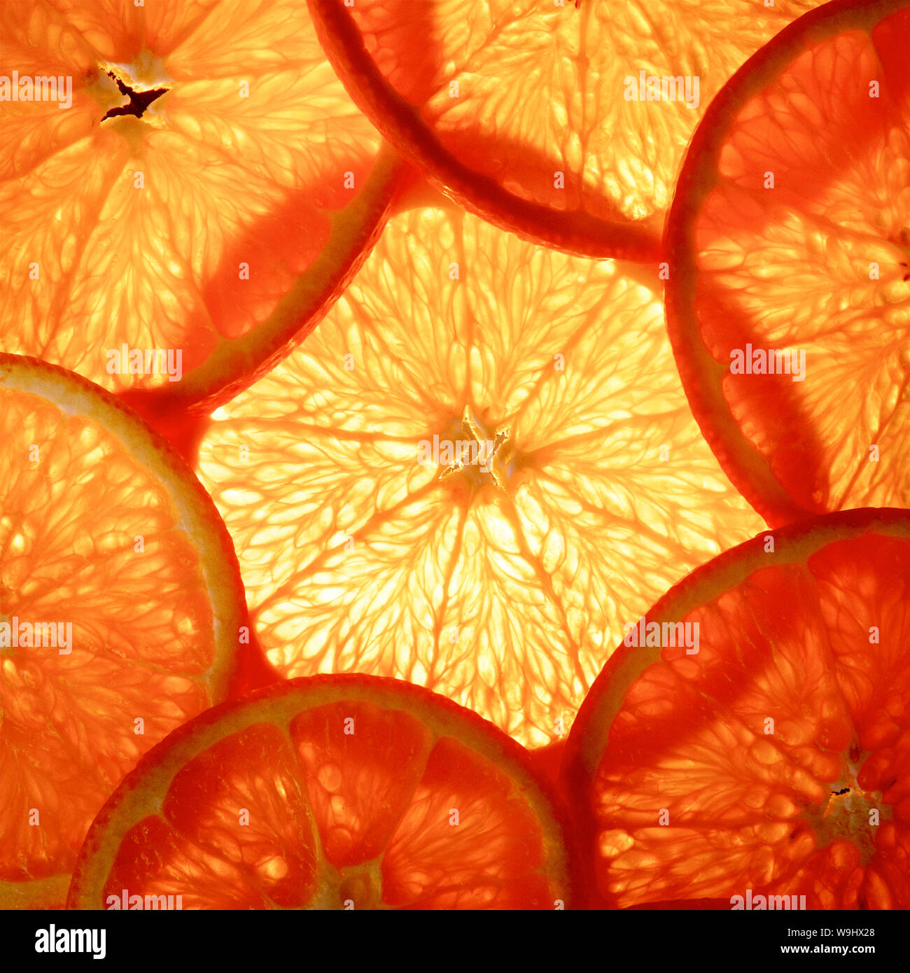 Thin slices of an orange to create a colourful artistic background. Stock Photo