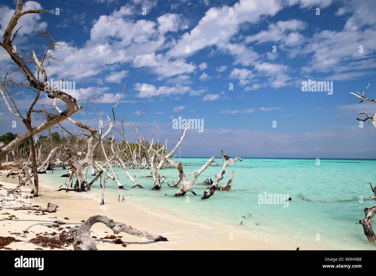 Playa de Cayo Levisa en Pinar del Rio, Cuba. Stock Photo