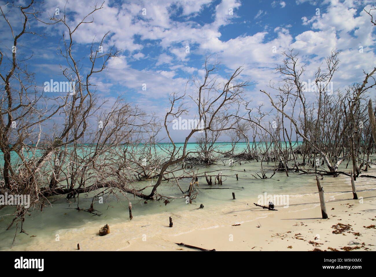 Playa de Cayo Levisa en Pinar del Rio, Cuba. Stock Photo