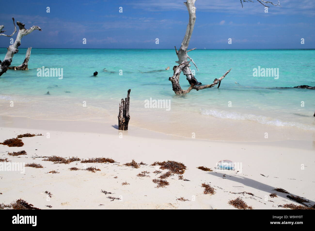 Playa de Cayo Levisa en Pinar del Rio, Cuba. Stock Photo