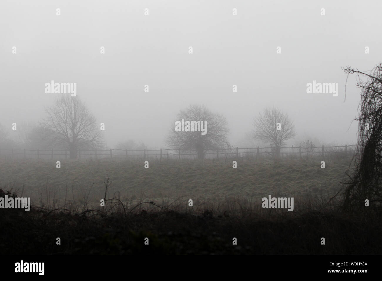 Scary fog hi-res stock photography and images - Alamy