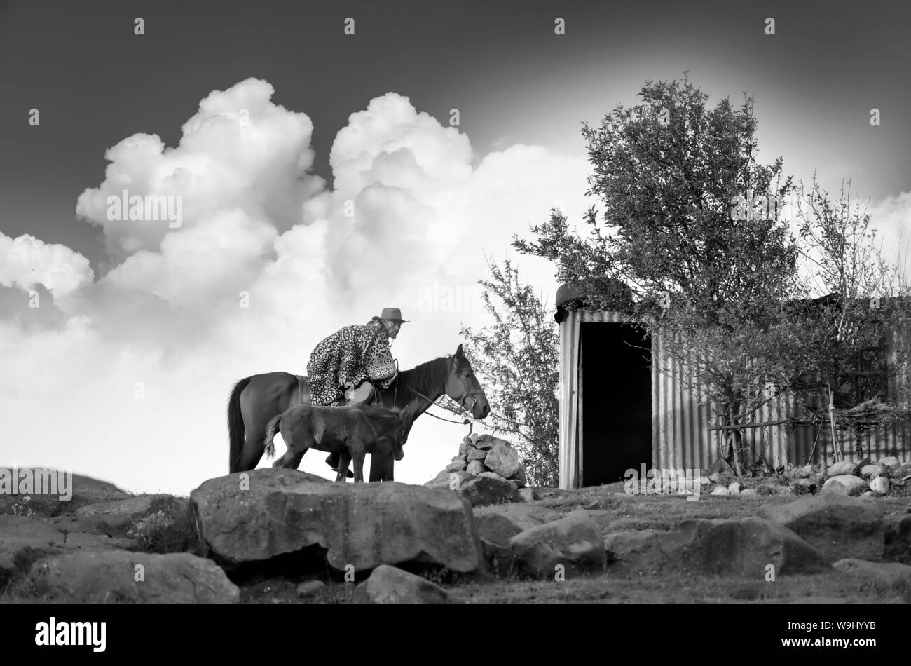 Africa, Southern Africa, Maseru District, Lesotho, Semonkong, local rider (m), 30074190 *** Local Caption ***  Africa, Southern Africa, Maseru Distric Stock Photo