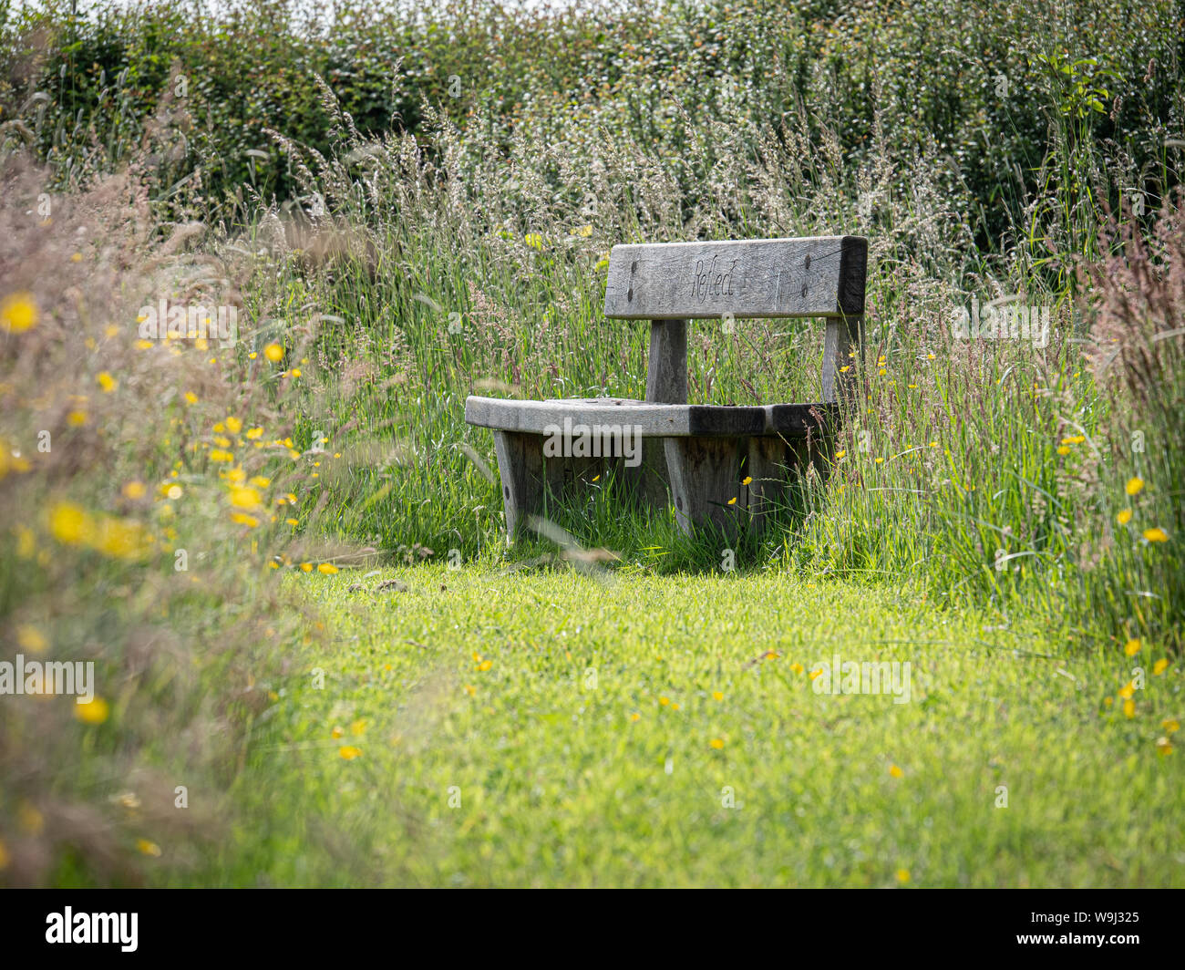 Rustic Wooden Bench Set In Countryside Surroundings Uk Stock