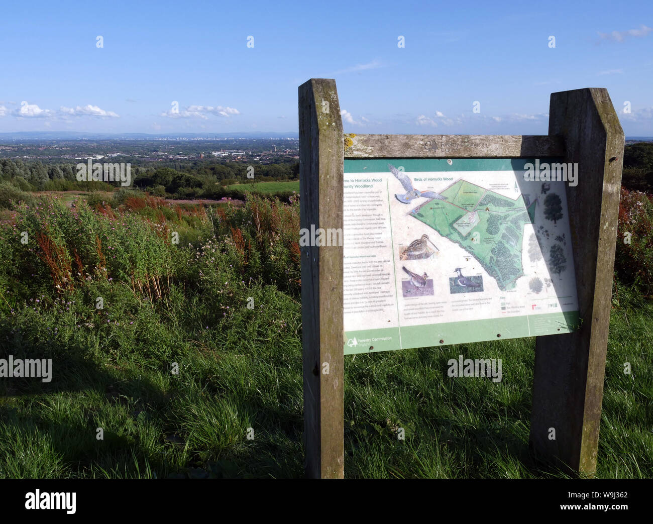 Forestry Commission England Sign illustrating Birds trees & wildlife in The Horrocks Wood Community Woodland, Bolton & Manchester in the distance Stock Photo
