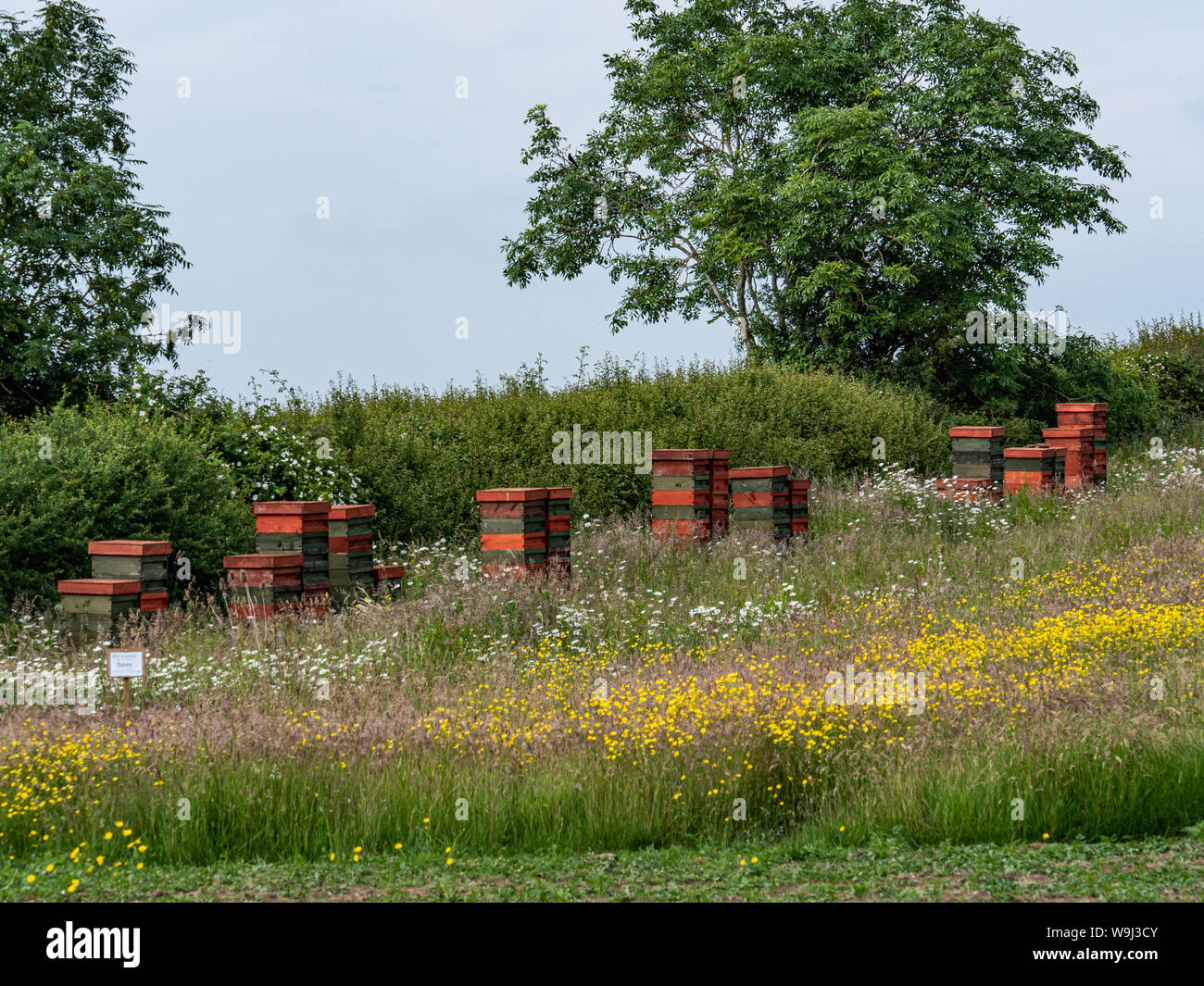 Bee Hives in a meadow setting, England, UK. Stock Photo