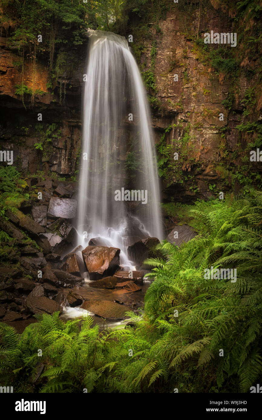 Waterfall and ferns at Melincourt Stock Photo