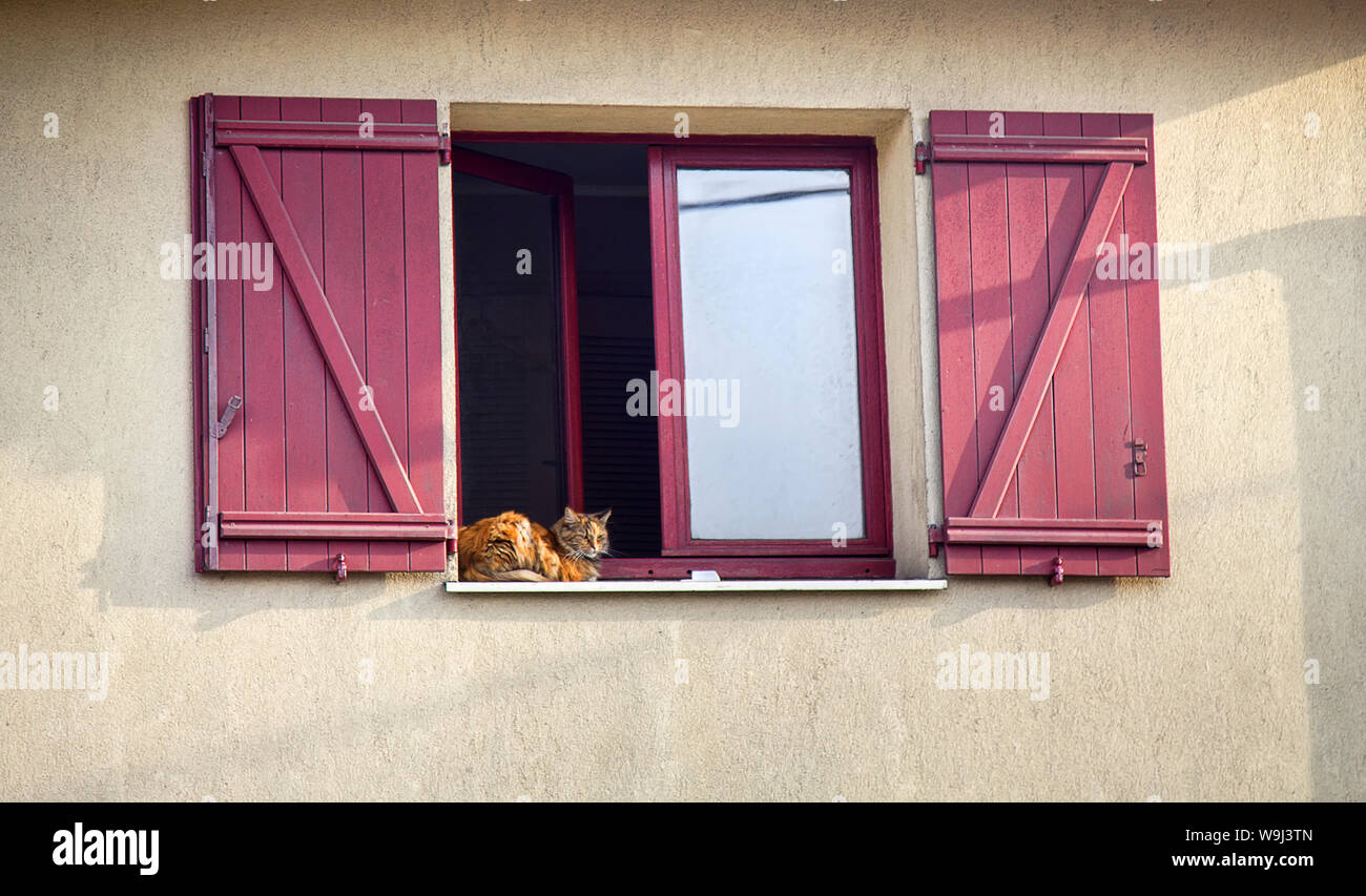 Limoges, France - September 28, 2017: A shuttered window, the window sash open and the red cat on the windowsill, home cosiness Stock Photo
