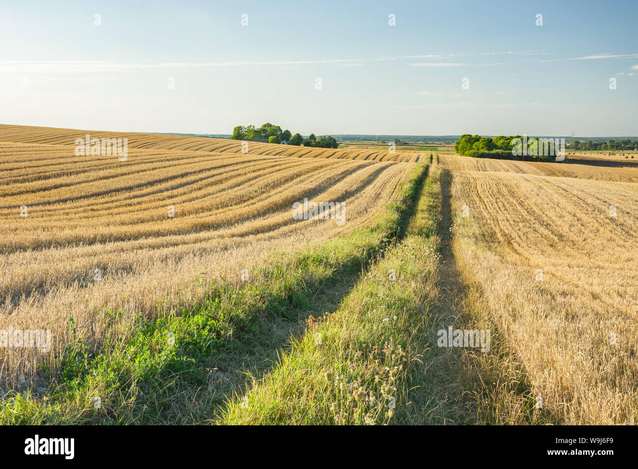 Road through hilly fields, horizon and sky. Staw, Poland Stock Photo