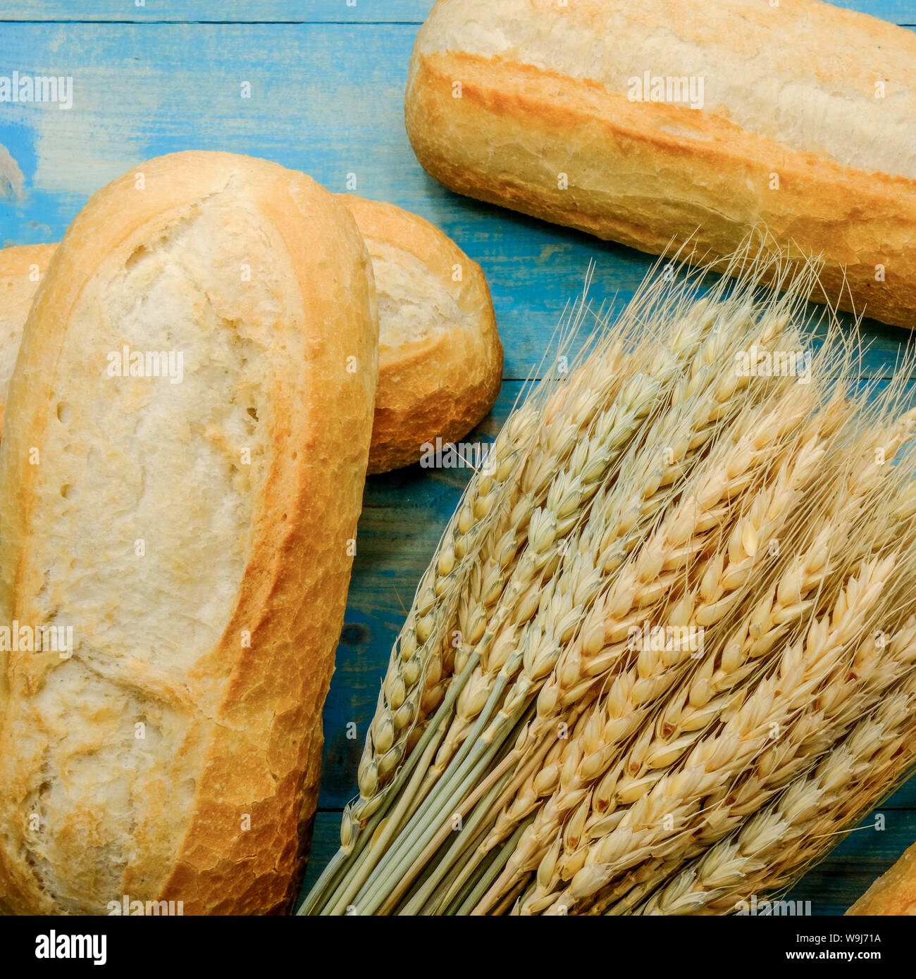 Crusty Fresh White Bread Rolls With a Bunch of Dried Wheat Stock Photo