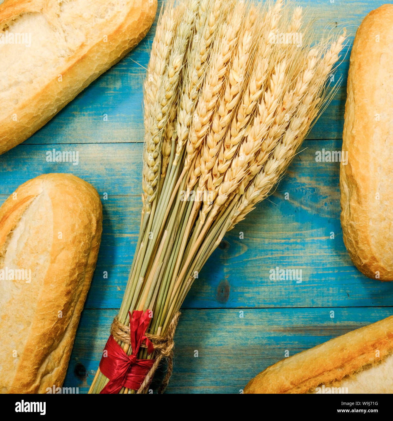 Crusty Fresh White Bread Rolls With a Bunch of Dried Wheat Stock Photo