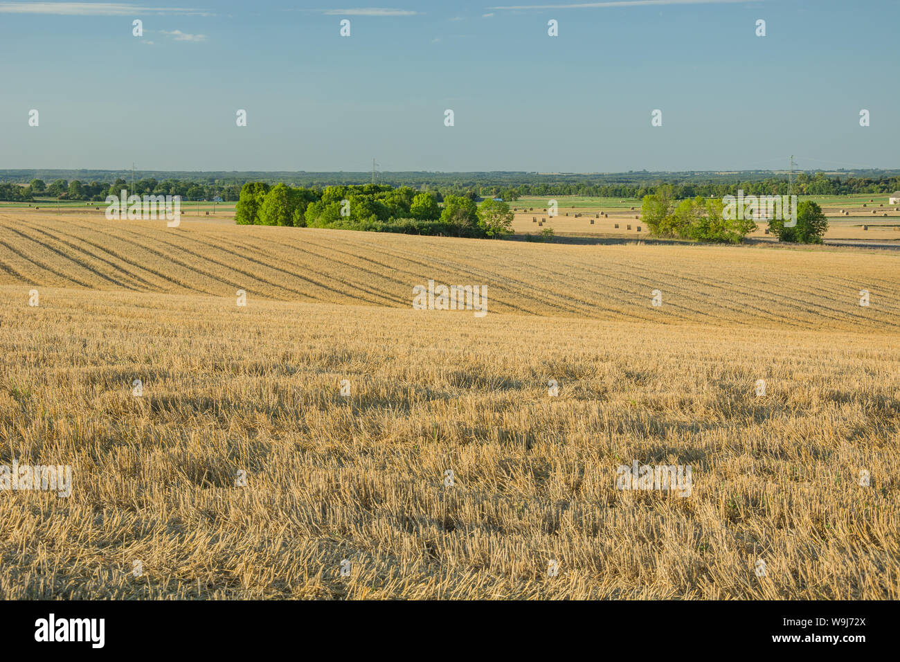 Hilly stubble on the field, horizon and sky. Staw, Poland Stock Photo