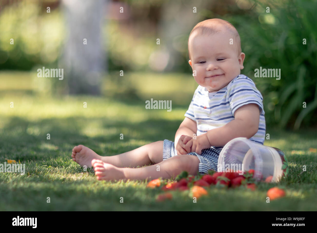 Naughty  boy spread out strawberries on the grass and smiles Stock Photo