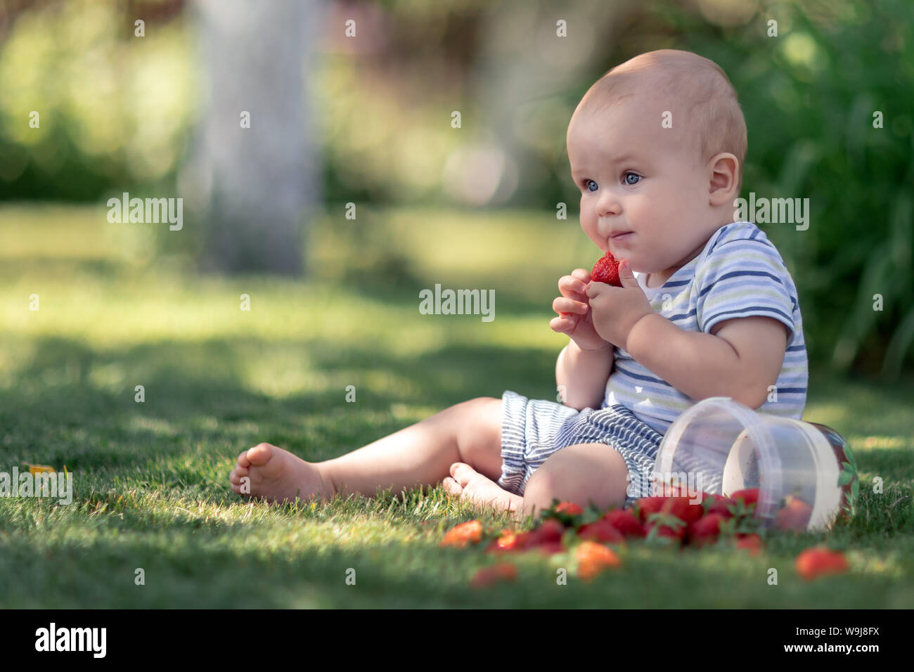 Adorable baby sitting on the grass in the garden and eat strawberry Stock Photo