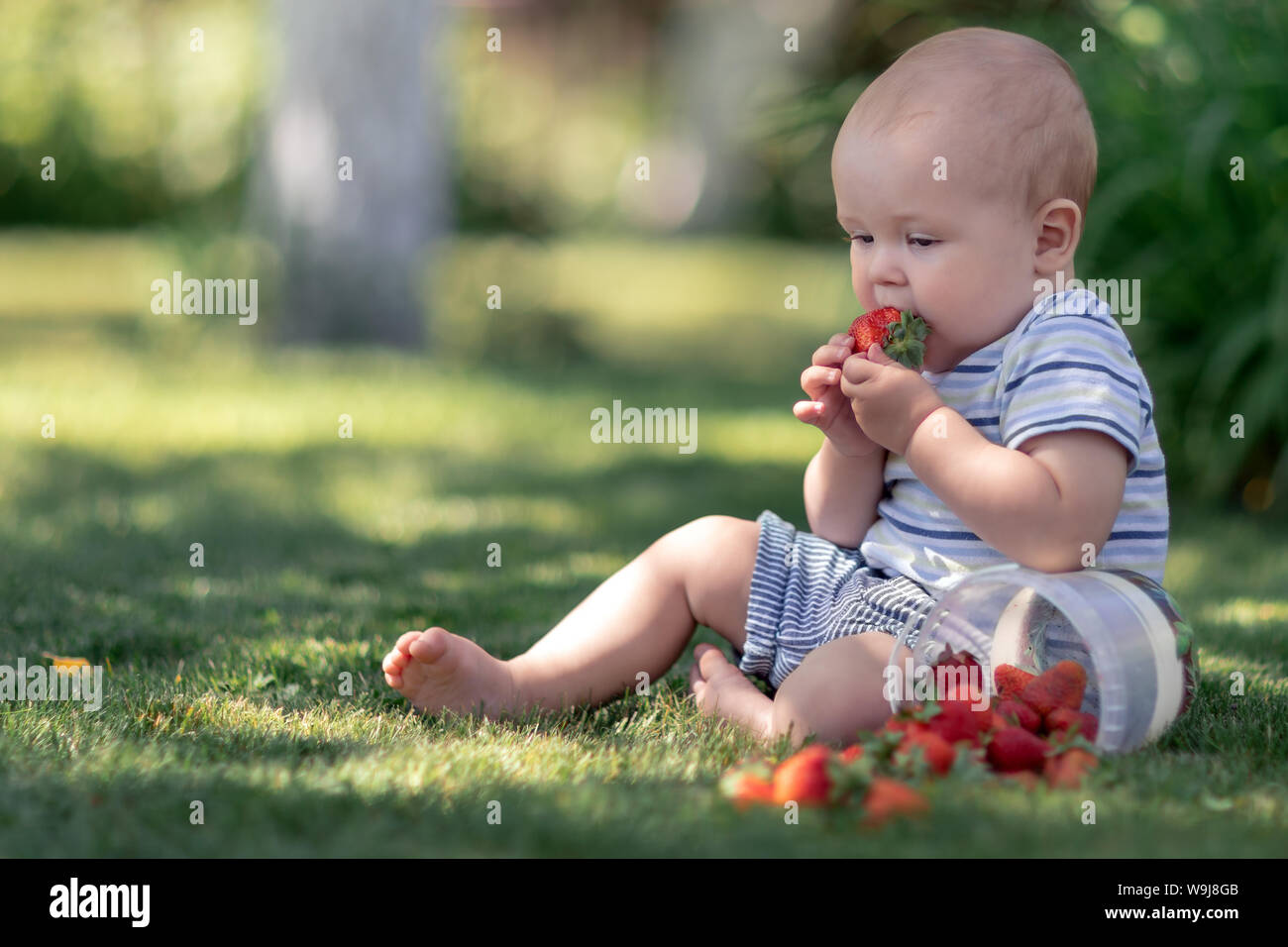 Cute baby sitting on the grass in the garden and taste strawberries Stock Photo