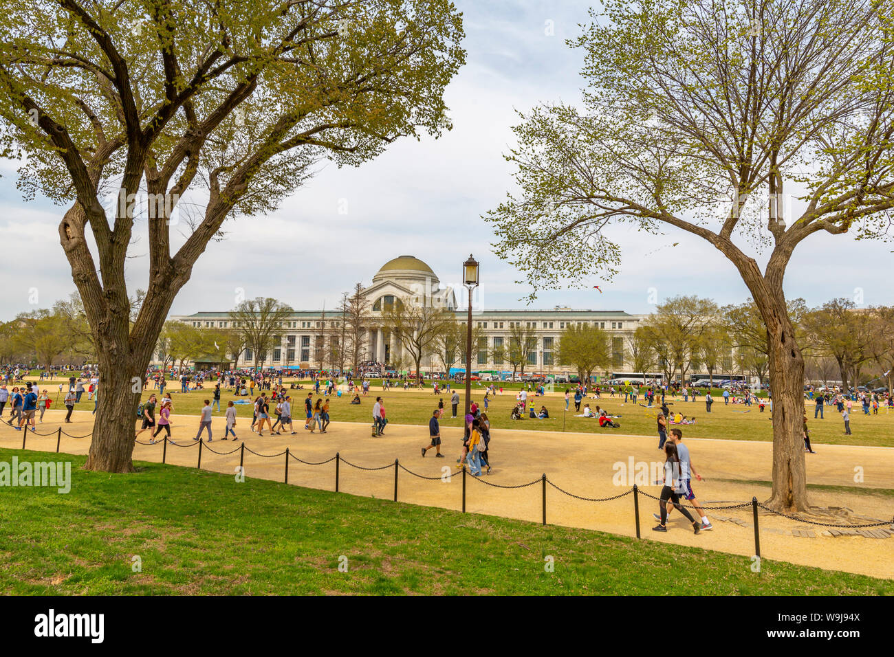 View of Smithsonian National Museum of Natural History in springtime, Washington DC, District of Columbia, United States of America Stock Photo