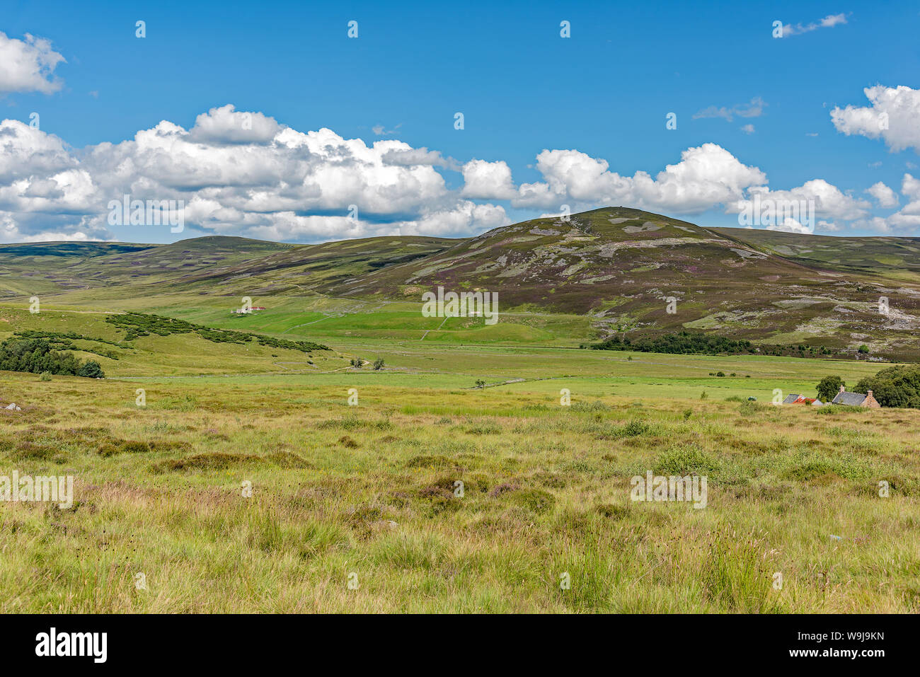 Highland pastures in Scotland Stock Photo