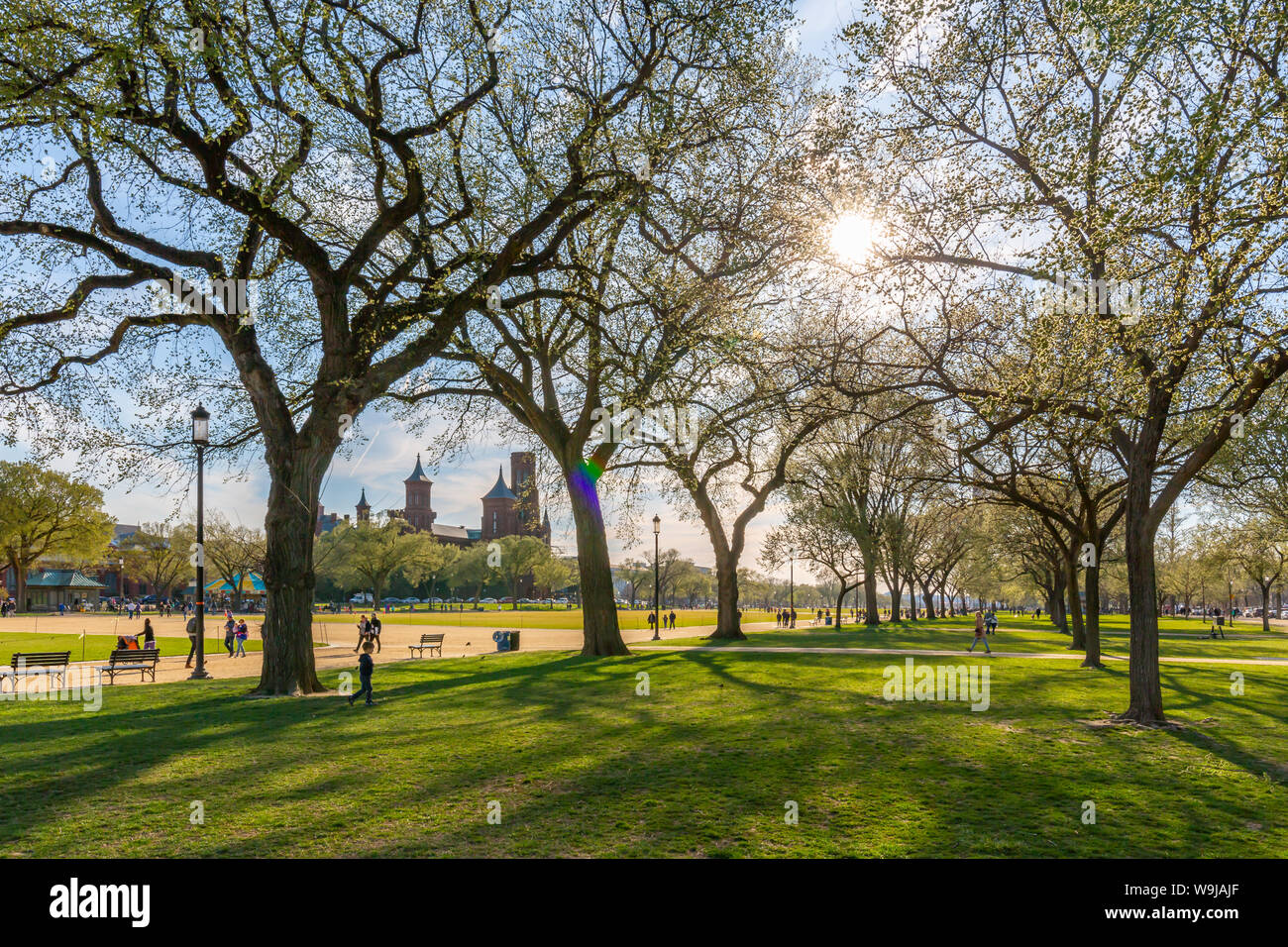 View of Smithsonian National Museum of Natural History and National Mall in spring, Washington D.C., United States of America, North America Stock Photo