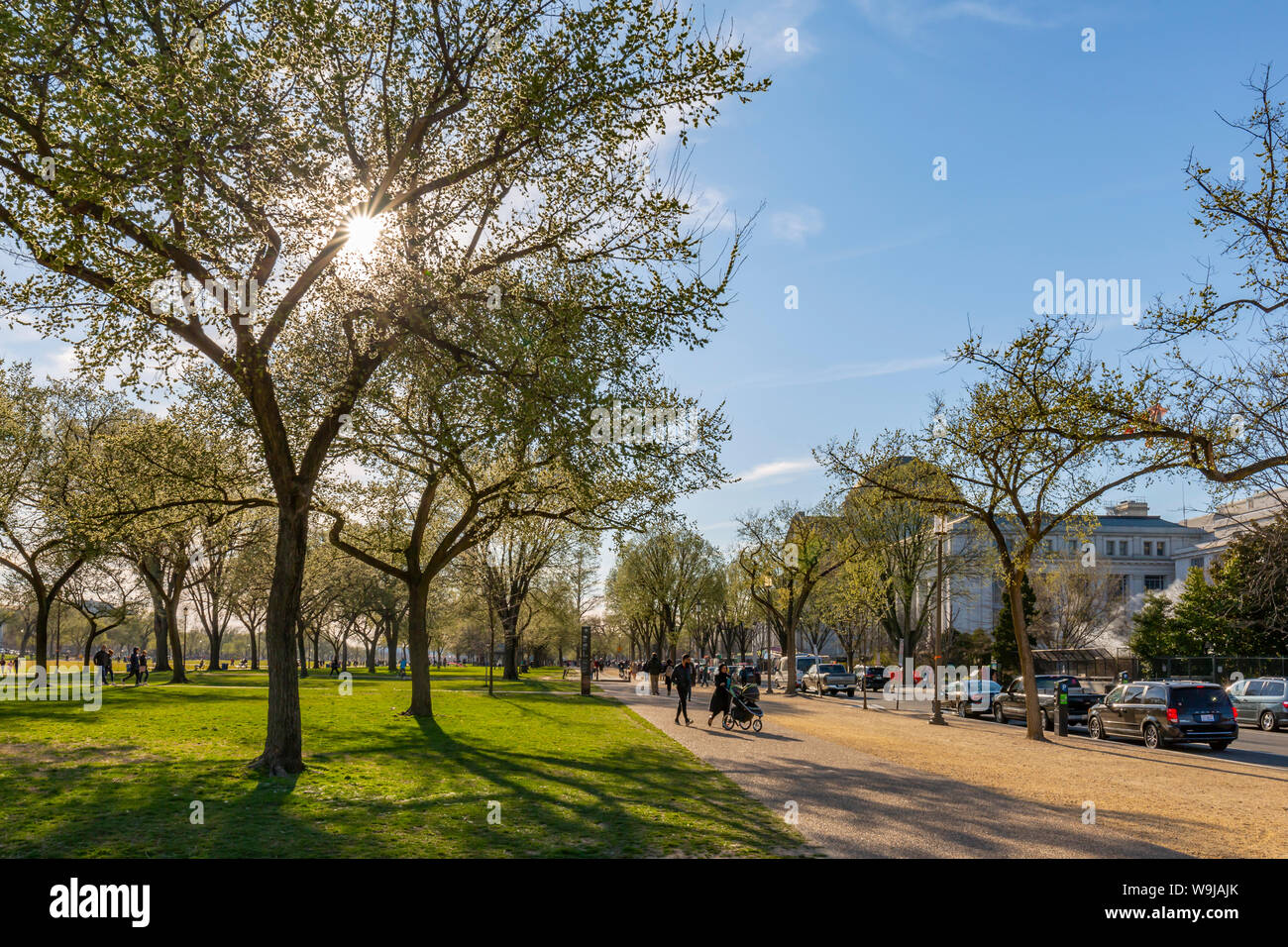 View of Smithsonian National Museum of Natural History and National Mall in spring, Washington D.C., United States of America, North America Stock Photo
