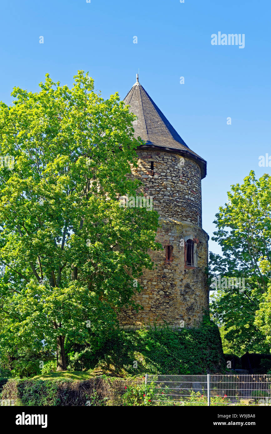 Alexanderturm, Stadtturm Stock Photo