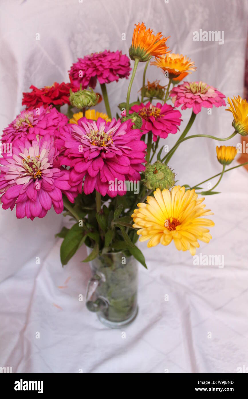 Beautiful summer garden flowers in gorgeous bloom Stock Photo - Alamy