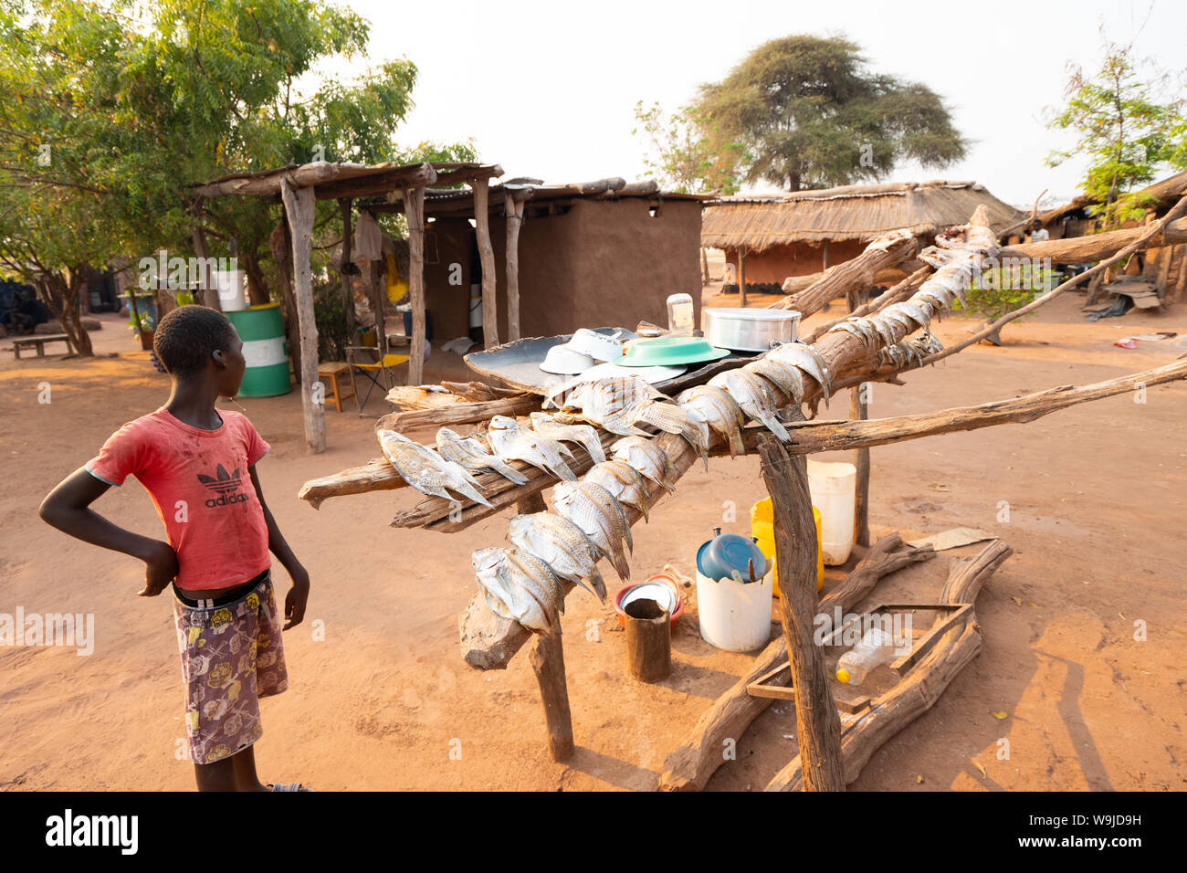 Fish are sun dried to preserve at a Tonga fishing village on Lake Kariba,  Zimbabwe Stock Photo - Alamy