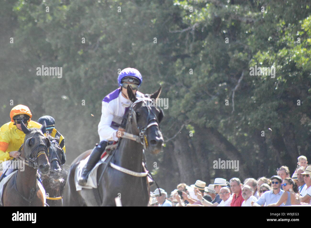 Racecourse in Sault, Provence-Alpes-Côte d'Azur – France. 11 August 2019. The only horse race in the year Stock Photo