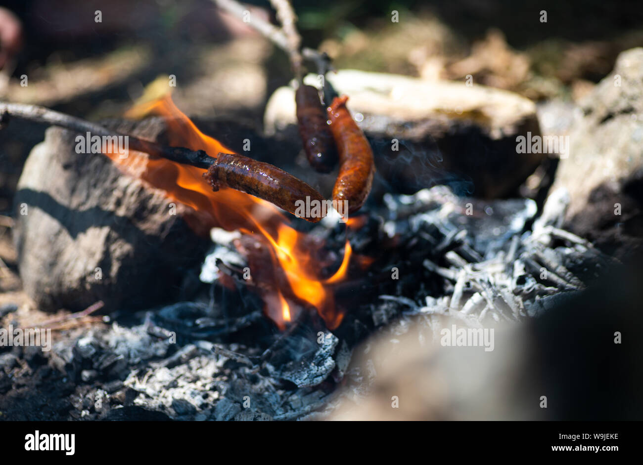 People baking sausage on fire on a stick at a picnic Stock Photo