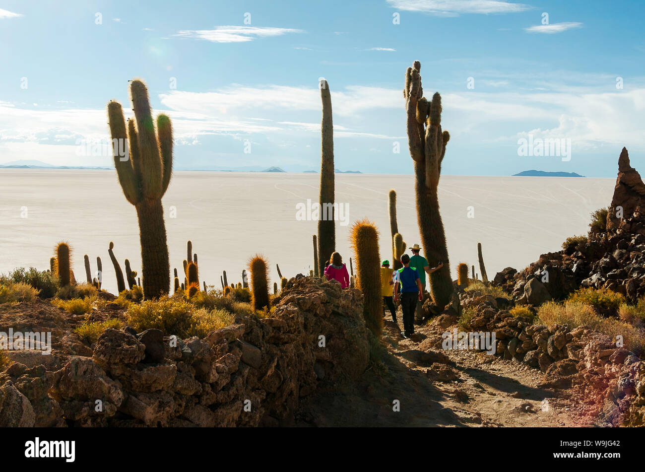 Family among giant cactuses in the salt flats of Bolivia Stock Photo