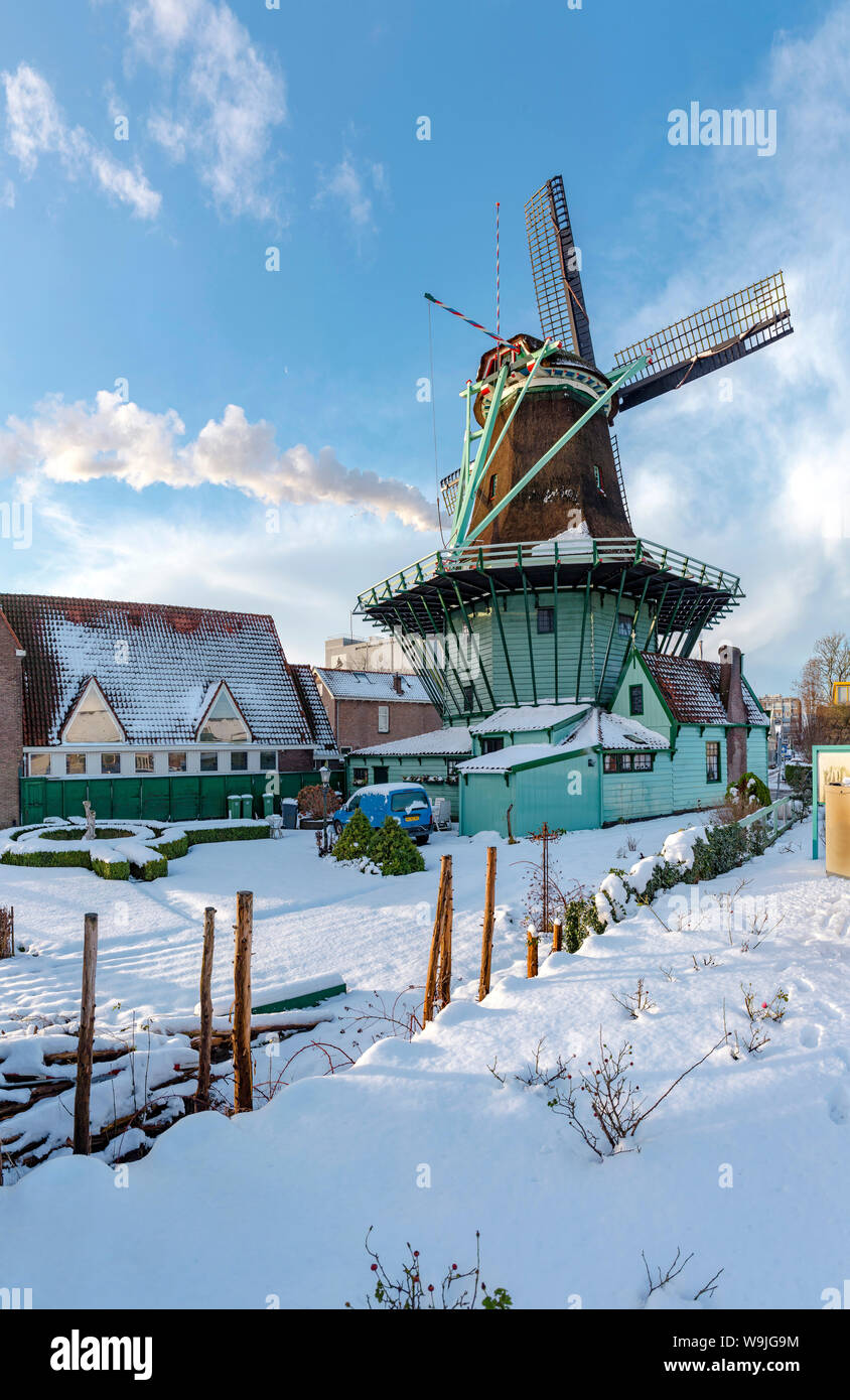 Fourmill called De Bleeke Dood, Zaandijk,   Noord-Holland, , Netherlands, 30071132 *** Local Caption *** windmill, winter, snow, ice, Stock Photo
