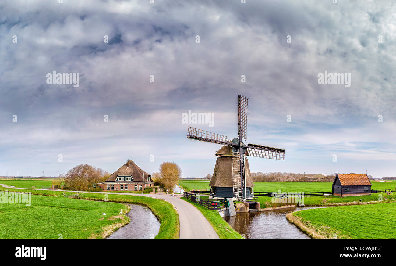 windmill farm