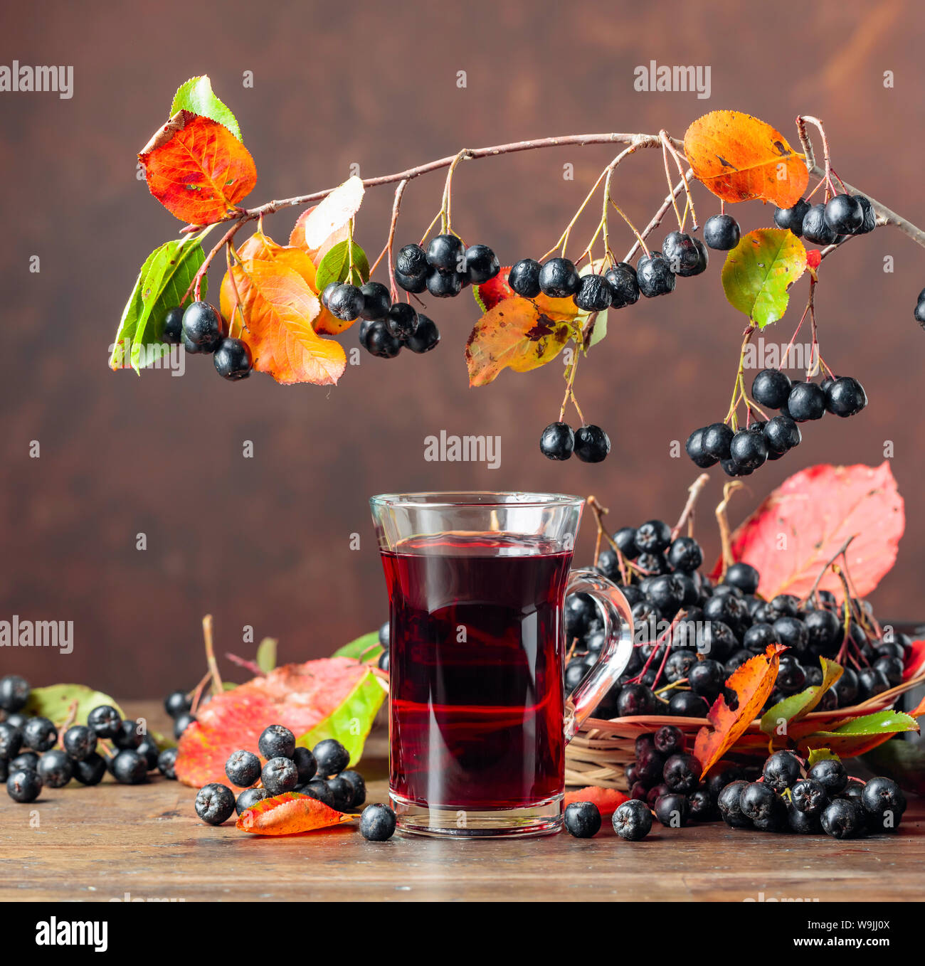 Fresh Juice Of Black Chokeberry Aronia Melanocarpa In Glass And fresh-juice-of-black-chokeberry-aronia-melanocarpa-in-glass-and