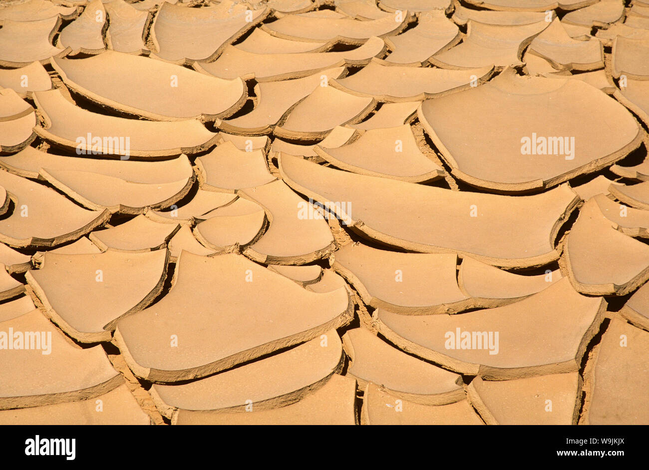 hires stock photography and images Alamy