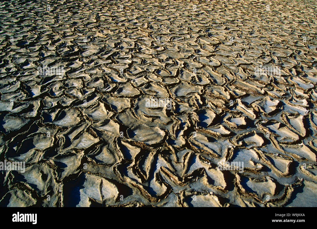 hires stock photography and images Alamy