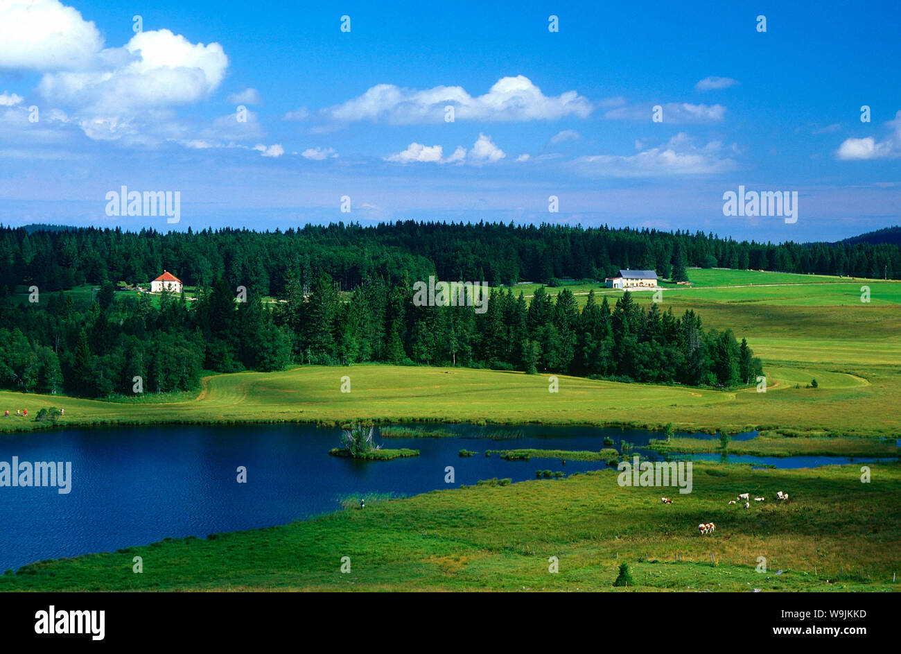 Lac des mortes hires stock photography and images Alamy