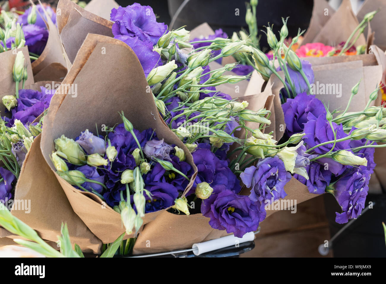buckets of purple licanthus flowers in bloom and buds wrapped in brown paper at the farmers market Stock Photo