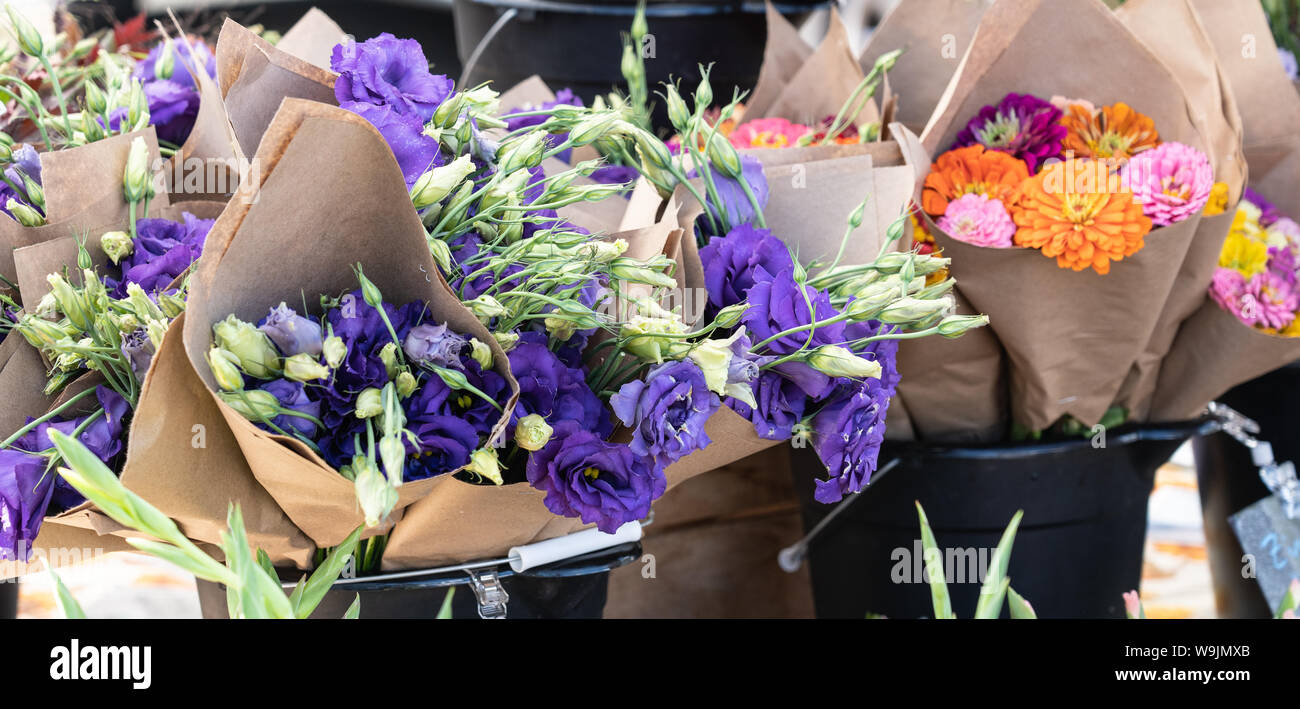 buckets of purple licanthus flowers and pink and orange zinnias in bloom and buds wrapped in brown paper bouquets at the farmers market Stock Photo