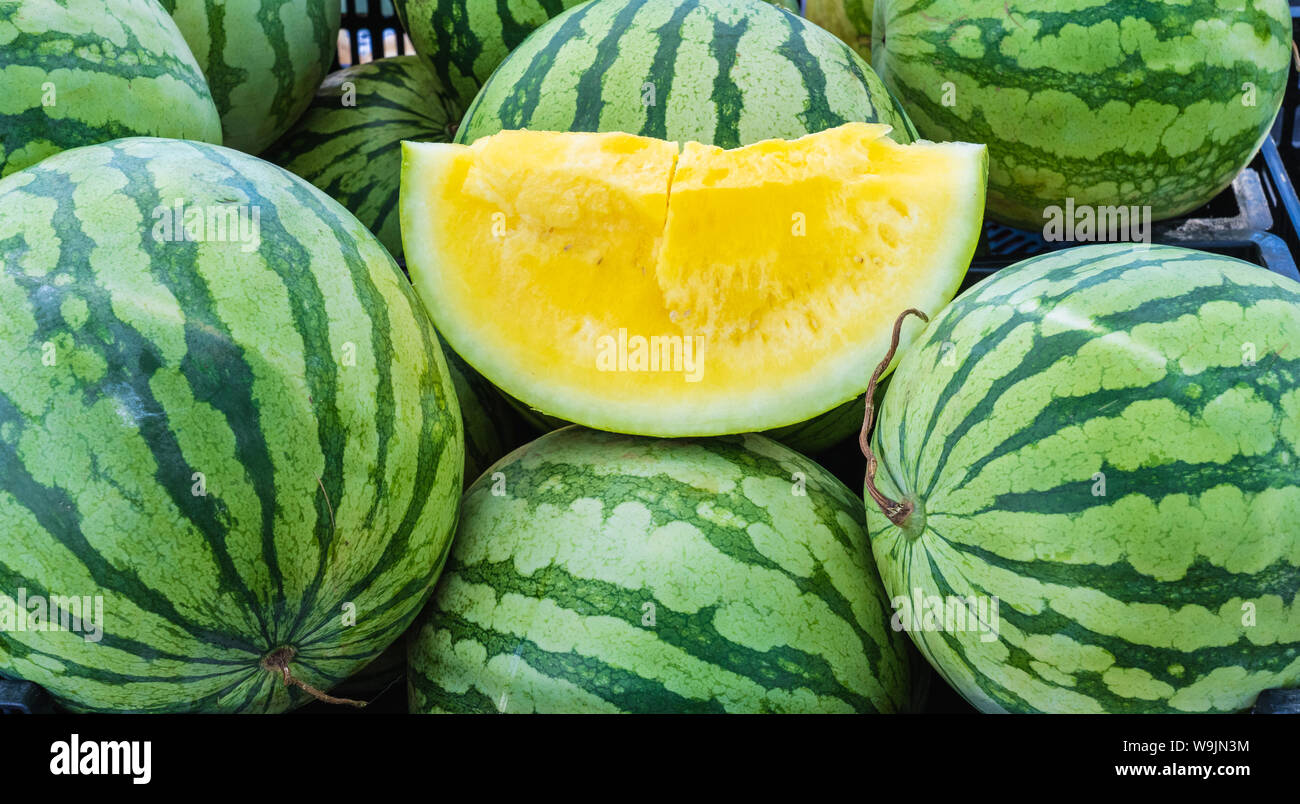 fresh yellow water melon cut open on top of a pile of green melons at