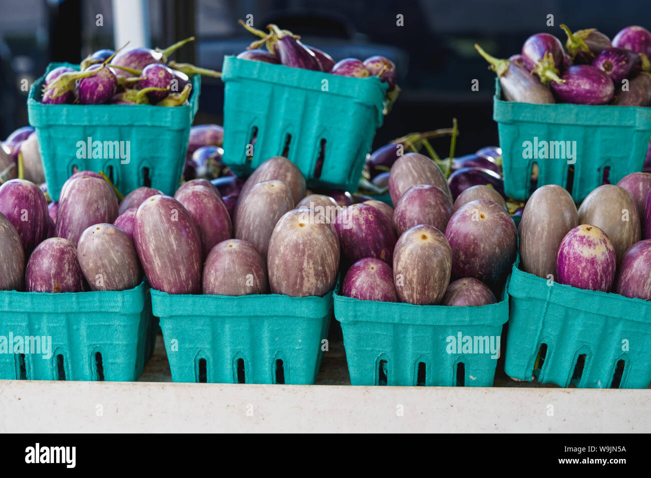 aqua green pressed fiber baskets full of light skinned purple and white small tender eggplant piled up for sale at the local farmers market Stock Photo