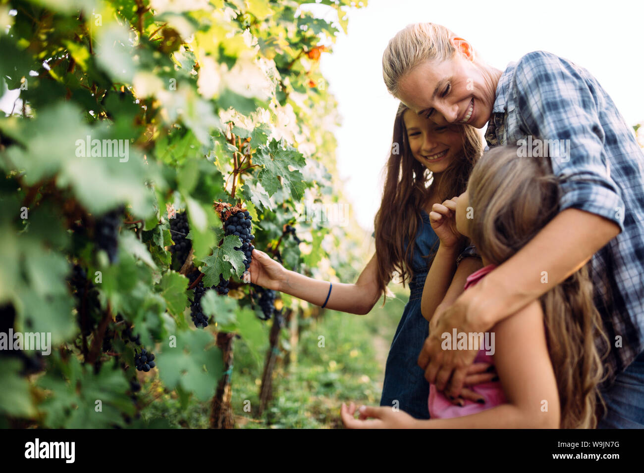 Winemaker cute young family together in vineyard Stock Photo