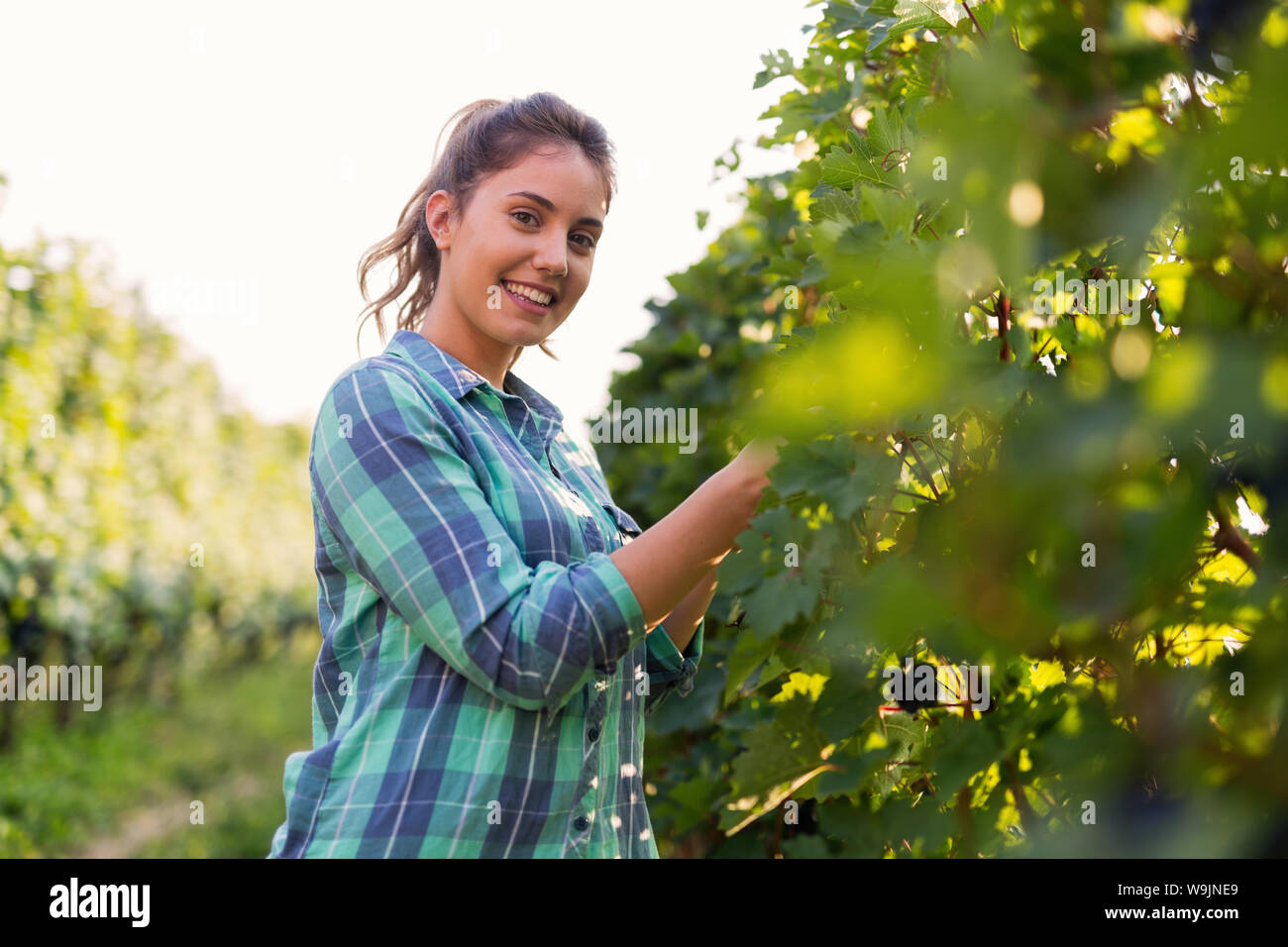 Portrait of young woman working in vineyard Stock Photo