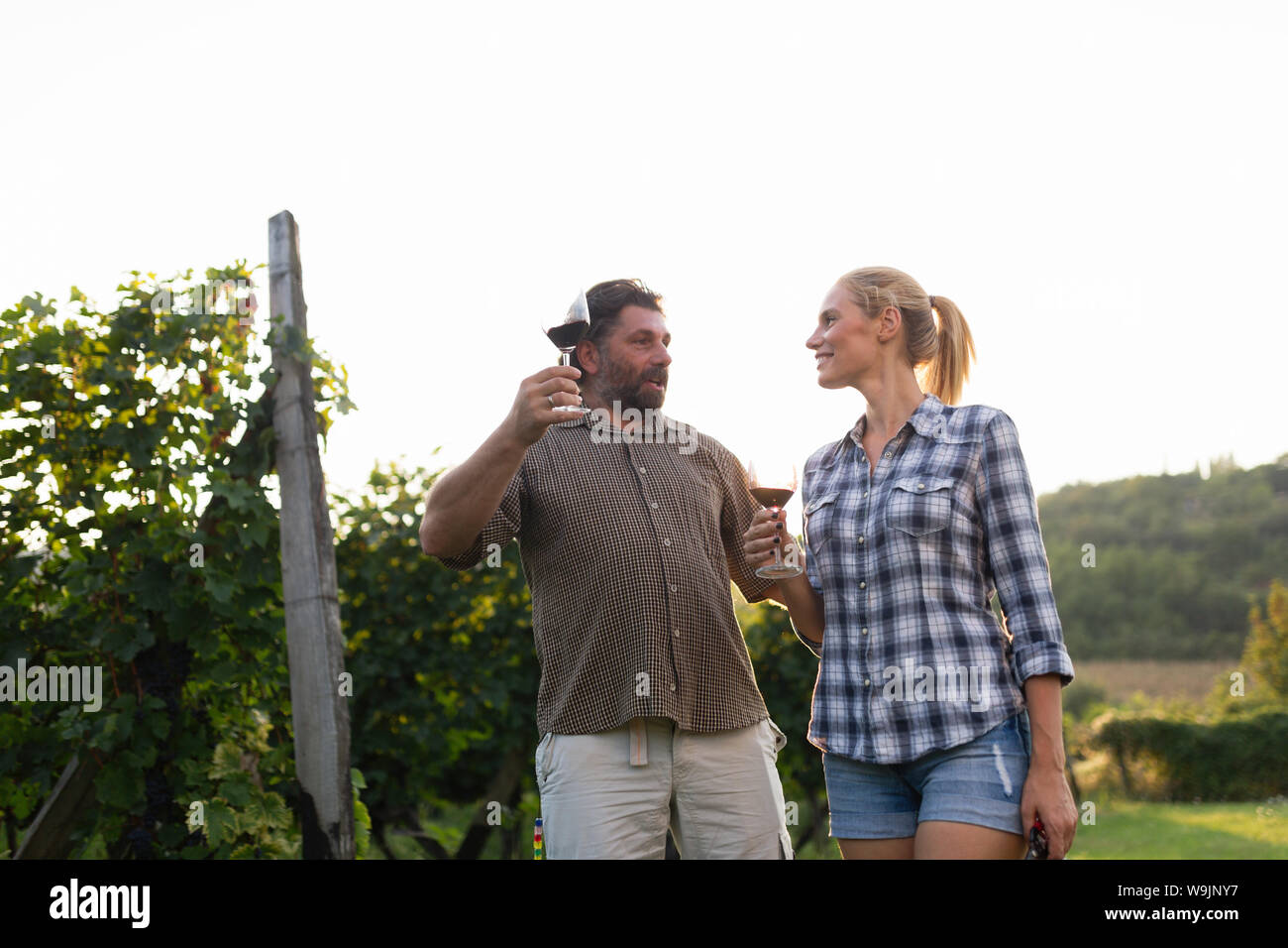 Picture of people tasting red wine in vineyard Stock Photo - Alamy