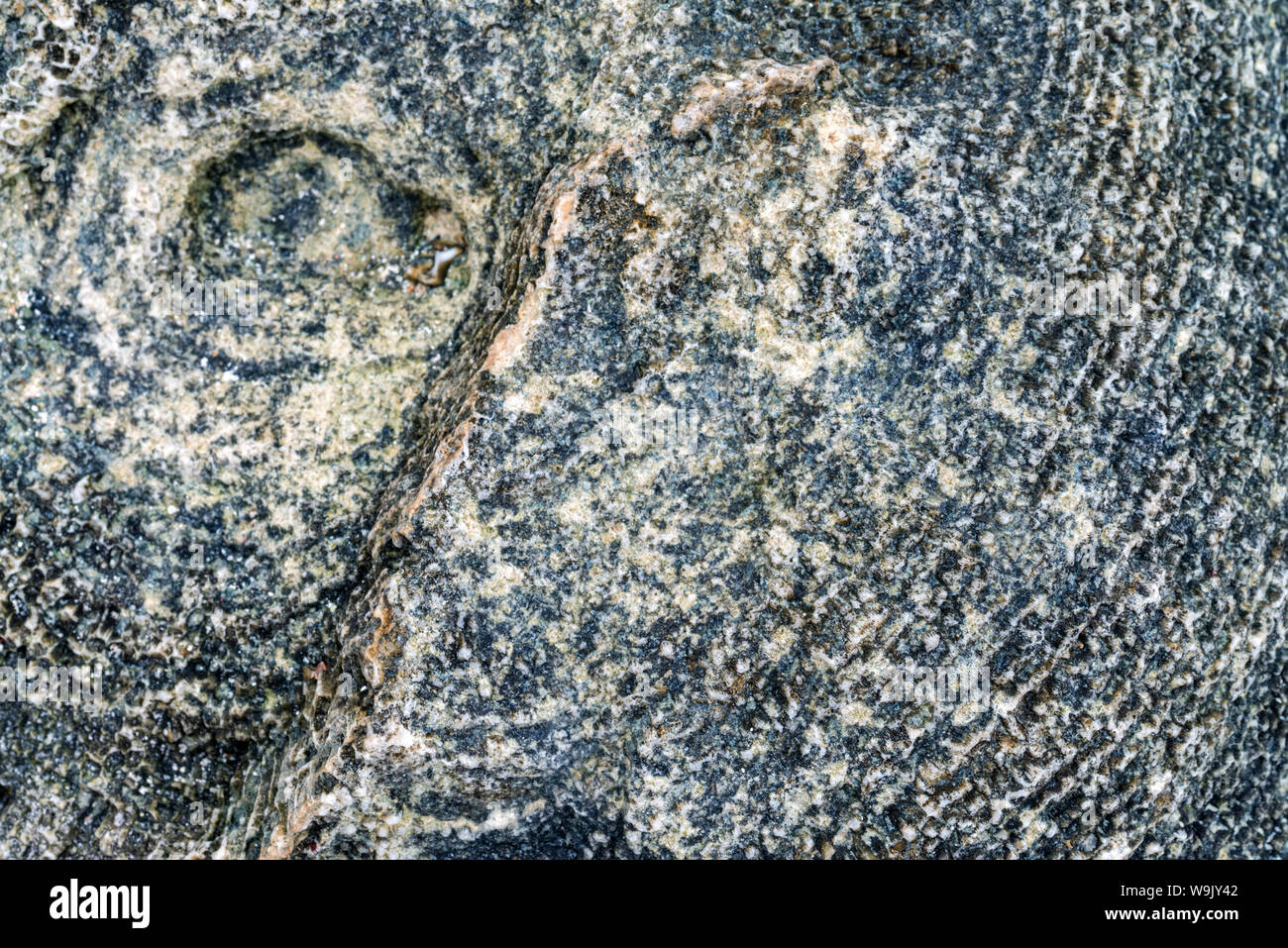 Littoral Zone High Resolution Stock Photography And Images Alamy