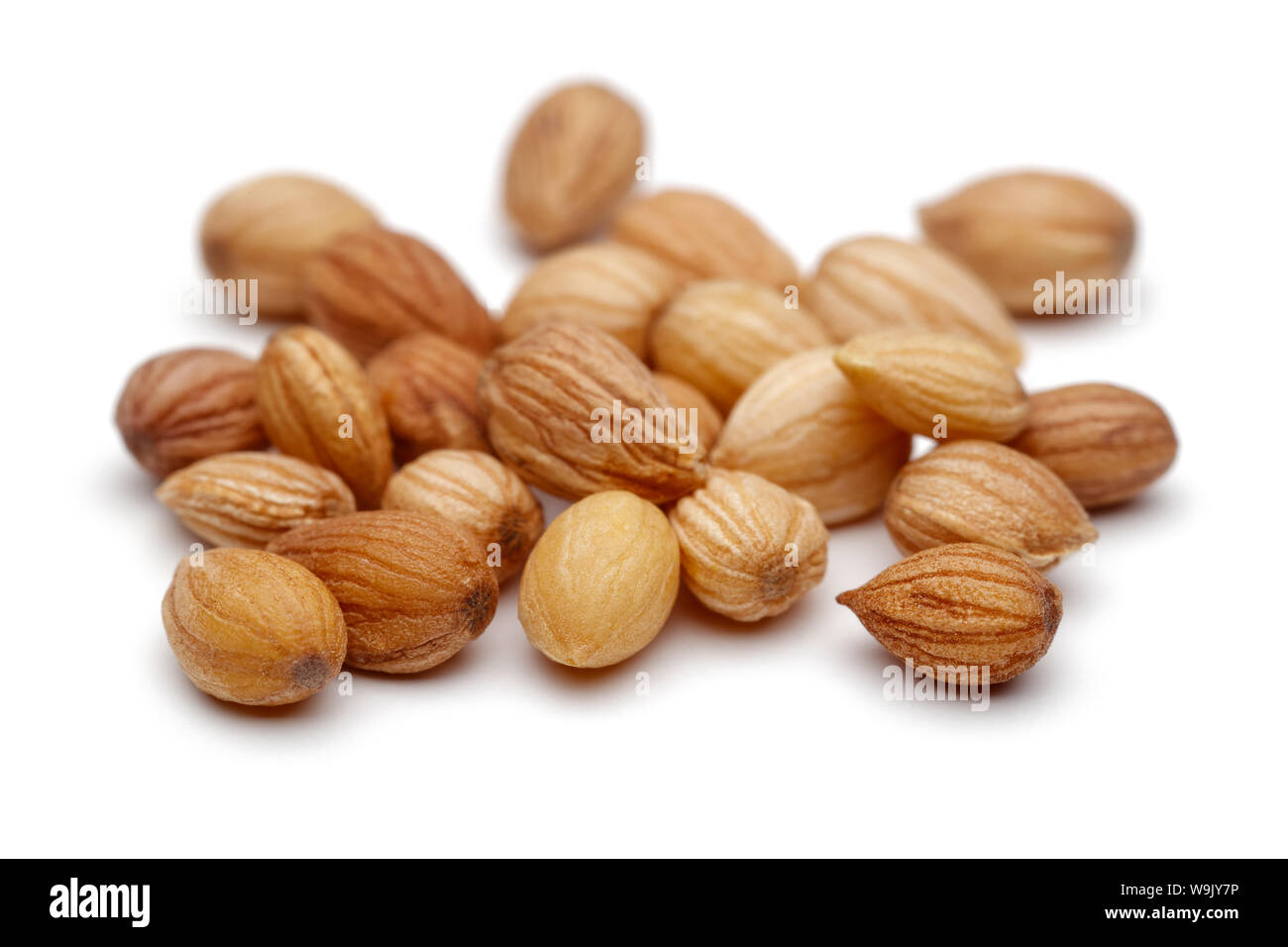 Heap of mahlep or mahaleb seeds isolated on white background Stock ...