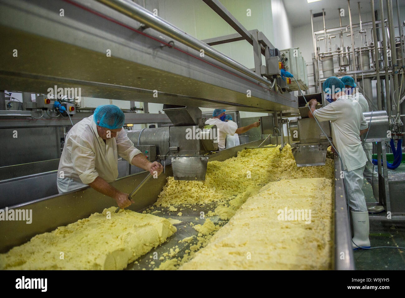 commercial cheese making Stock Photo