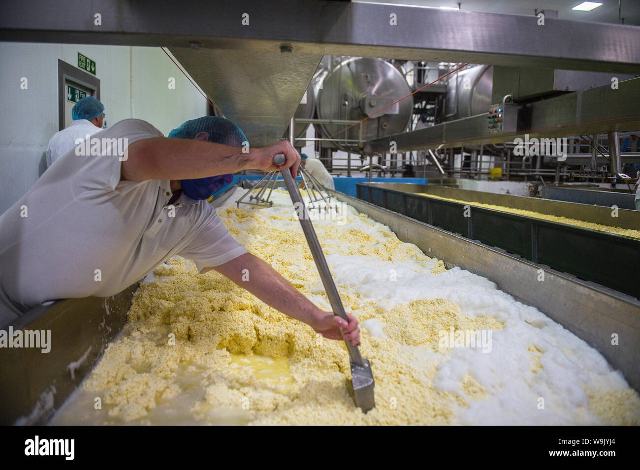 cheese maker Stock Photo