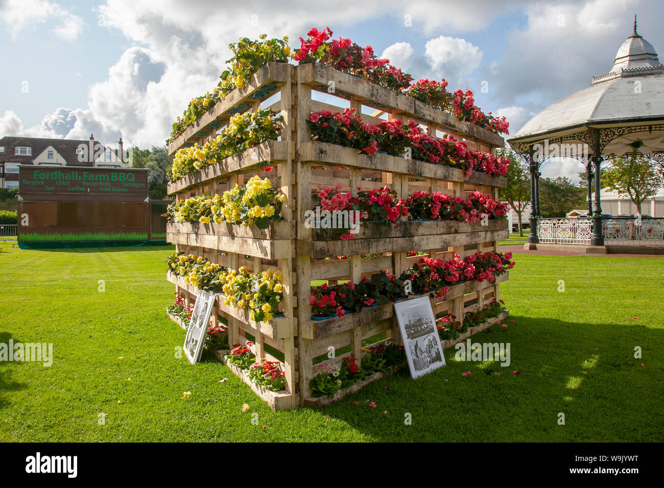 A new use for upcycled, reused wood, recycled wooden pallets as a flower wall for summer bedding