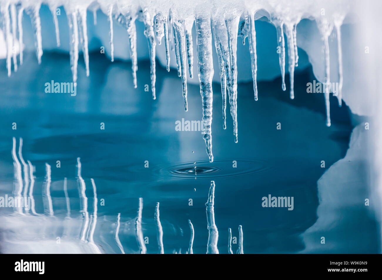 Icicles mirrored in calm water from ice floating in the Neumayer Channel near Wiencke Island, Antarctica, Polar Regions Stock Photo