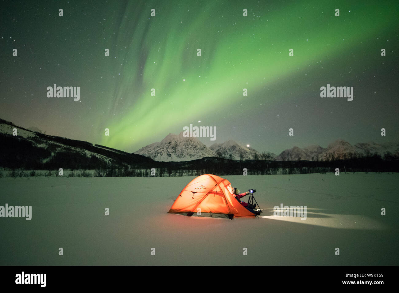 Photographer in a tent lit up by Northern Lights (aurora borealis) and starry sky in the polar night, Svensby, Lyngen Alps, Troms, Norway, Scandinavia Stock Photo