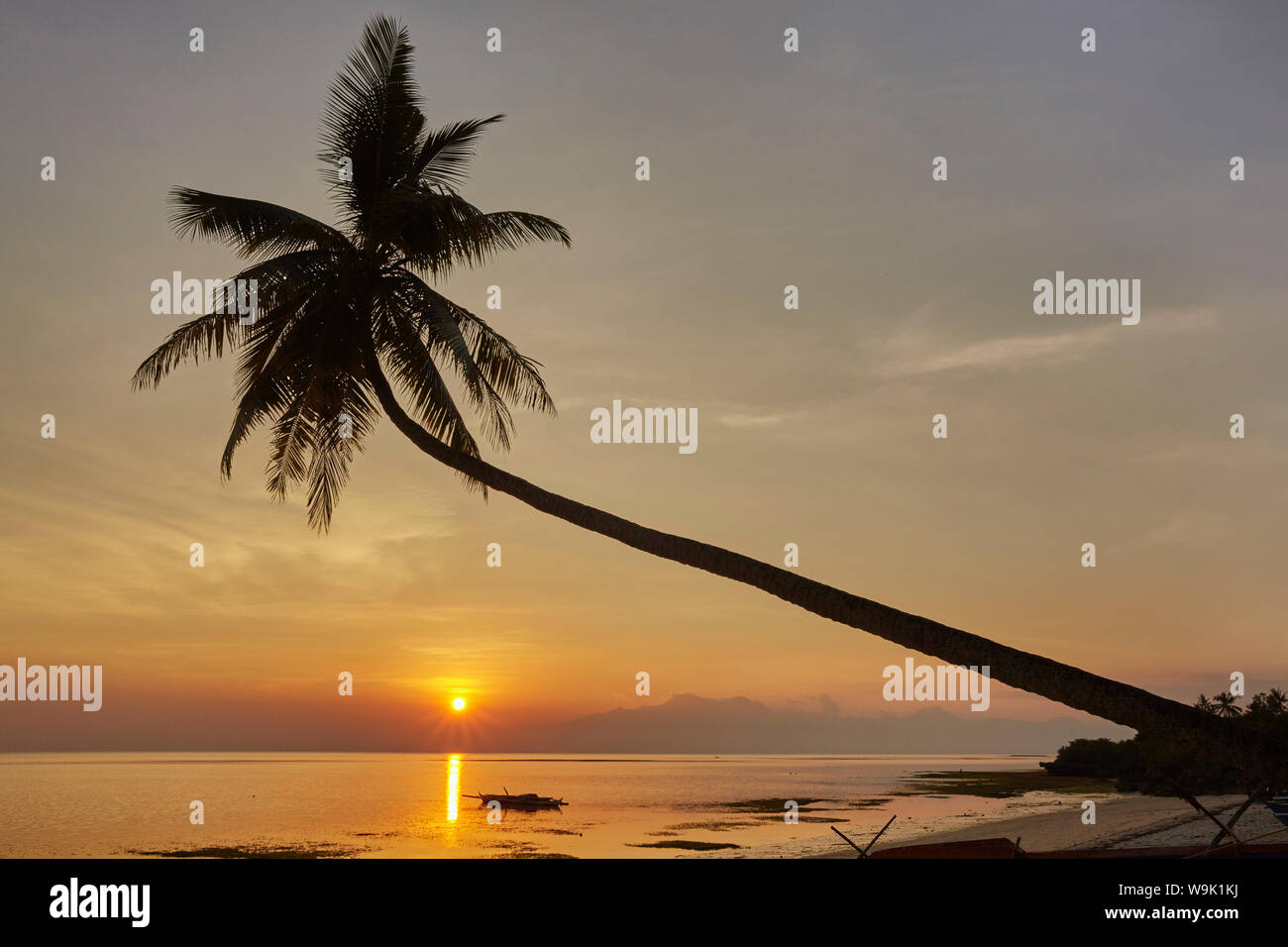 A sunset silhouette of a coconut palm at Paliton beach, Siquijor, Philippines, Southeast Asia, Asia Stock Photo